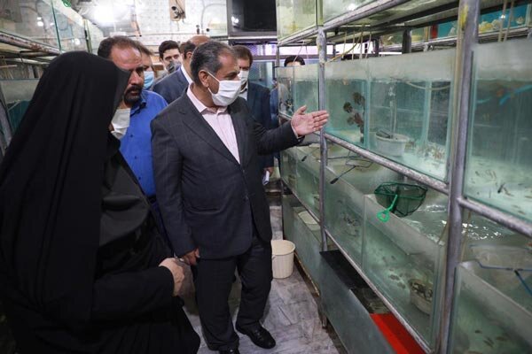 ۴ هزار تن انواع ماهی در استان قزوین تولید می‌شود