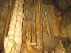 غار قلعه کرد آوج، زایشگاه دو گونه خفاش تهدید شده و آسیب پذیر ایران است