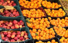 توزیع میوه شب عید از فردا در قزوین آغاز می‌شود