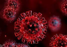 تاخت وتاز ویروس کرونا در قزوین/323 نفر آمار قطعی کرونایی در قزوین