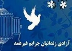 آزادی ۱۲ نفر از زندانیان جرائم غیرعمد استان قزوین