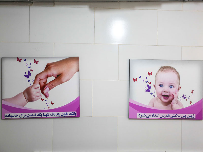 ذخیره سازی ۲ هزار نمونه خون بند ناف در استان قزوین 