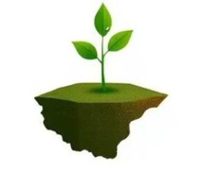 فراخوان سراسری «زیست‌یار قزوینی»؛ مردم، چشمان بیدار محیط زیست استان قزوین