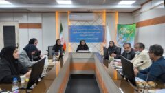 ایجاد ۸۰۰ فرصت شغلی برای معلولان در قزوین کلید خورد