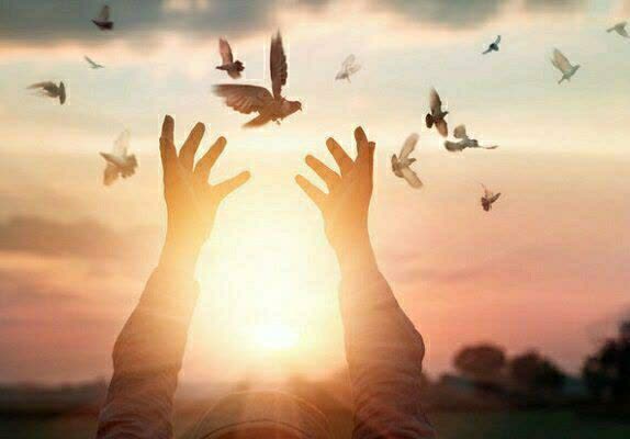 آزادی ۱۷ زندانی به مناسبت ماه پر برکت رجب در قزوین/ ۲۶۶ زندانی به مرخصی رفتند