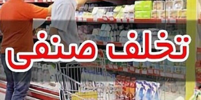 تشکیل۳۲۳۰ پرونده تخلفاتی به ارزش ۶۲/۵ میلیارد تومان در قزوین