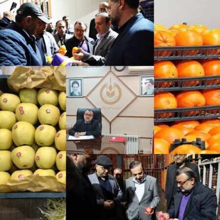 توزیع میوه شب عید در ۴۵ غرفه در قزوین / قیمت میوه شب عید در استان قزوین مشخص شد