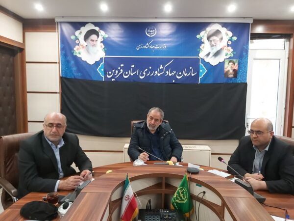 هدف‌گذاری خرید تضمینی ۲۵۰ هزار تن گندم در قزوین