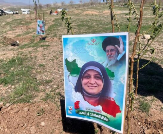 جهاد سبز هلال احمر قزوین؛کاشت بیش از ۳۹۶ هزار اصله نهال برای فردای زیست بوم ایران