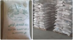 توزیع ۲ هزار و ۴۸۳ تن انواع بذور اصلاح شده در استان قزوین