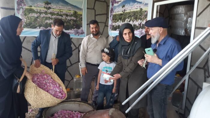 برگزاری مراسم جشن رویش گل محمدی در روستای خوزنین بویین زهرا استان قزوین/کشت گل محمدی علاوه بر ارزش اقتصادی نقش مهمی در حفاظت خاک دارد
