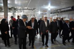 بازدید معاون وزیر کشور از پروژه عظیم تولید داروهای ضدسرطان