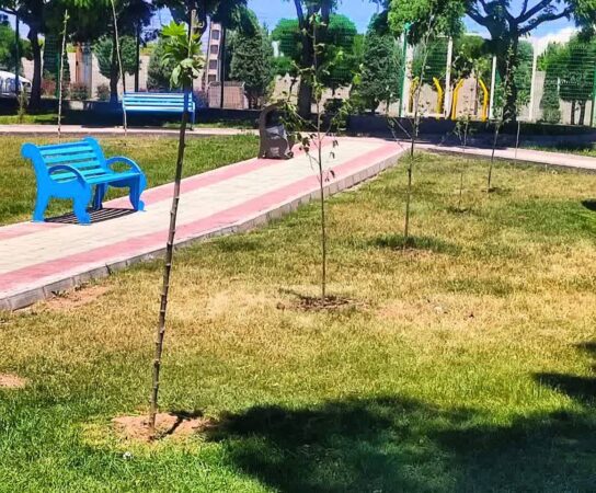 غرس ۸۲۵ اصله نهال و بوته گل در پارک‌ها و مزار شهدای محمدیه