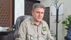 ثبت نخستین مشاهده «سسک سرسیاه» در استان قزوین