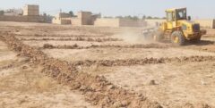 بازگشت ۶۰ هزار مترمربع از اراضی کشاورزی تاکستان به چرخه تولید