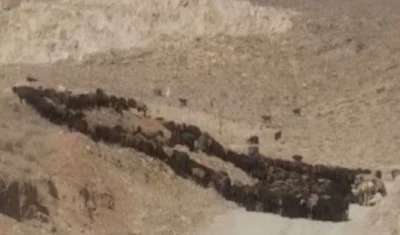 اخراج ۱۰۰۰ رأس دام غیرمجاز از مراتع تاکستان
