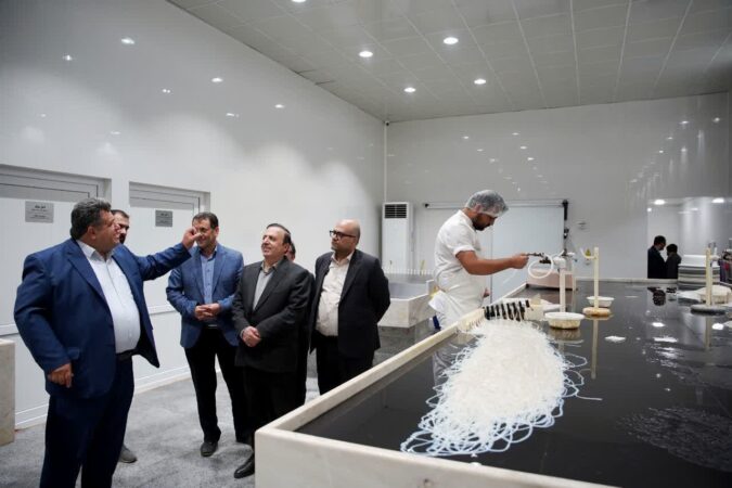 بازدید استاندار از واحد صادراتی آنا تجارت حقیقت و بررسی چالش‌های تولید