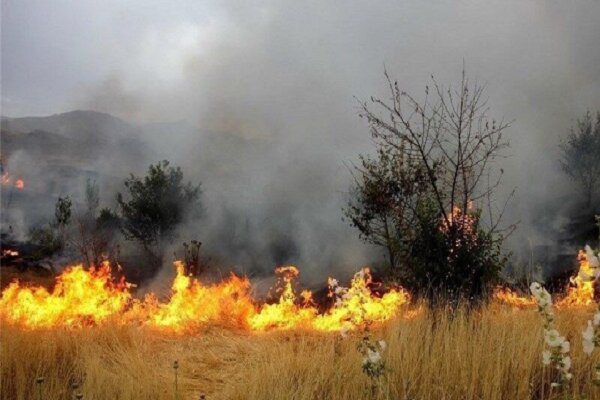 ۱۰ هکتار اراضی کشاورزی آبیک در آتش سوخت