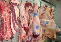 150 کیلوگرم گوشت غیرقابل مصرف در تاکستان کشف و ضبط شد