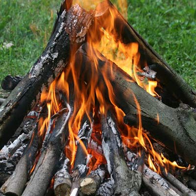 شهروندان از روشن کردن آتش در طبیعت خودداری کنند