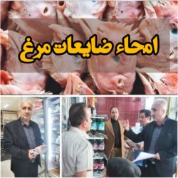 امحاء ۵۰ کیلو ضایعات مرغ در بازار قزوین