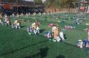 بنیاد دستان مهربان به یاری خانواده‌ها و دانش‌آموزان نیازمند در قزوین شتافت