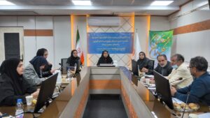 ایجاد ۸۰۰ فرصت شغلی برای معلولان در قزوین کلید خورد